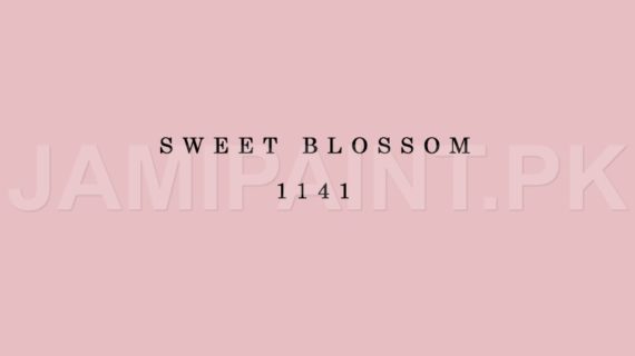 Kansai Premium Interior Emulsion SWEET BLOSSOM-1141