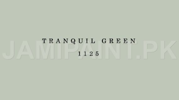 Kansai Premium Interior Emulsion TRANQUIL GREEN-1125