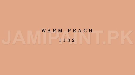 Kansai Premium Interior Emulsion WARM PEACH-1132