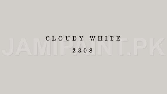 Kansai Premium Matt Enamel CLOUDY WHITE-2308