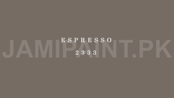 Kansai Premium Matt Enamel ESPRESSO-2333
