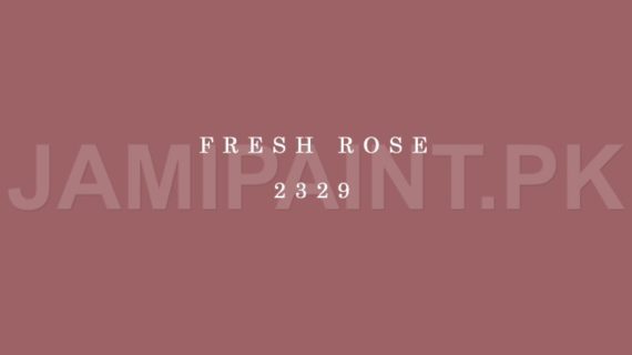 Kansai Premium Matt Enamel FRESH ROSE-2329
