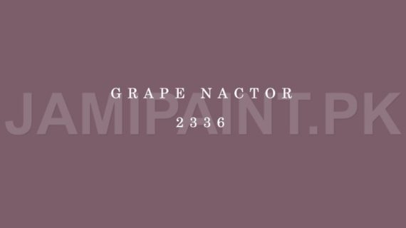 Kansai Premium Matt Enamel GRAPE NACTOR-2336