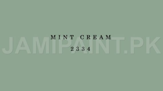 Kansai Premium Matt Enamel MINT CREAM-2334