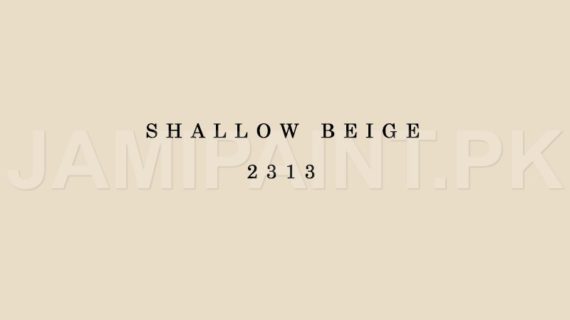 Kansai Premium Matt Enamel SHALLOW BEIGE-2313