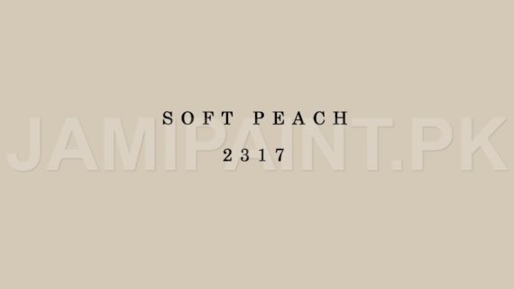 Kansai Premium Matt Enamel SOFT PEACH-2317
