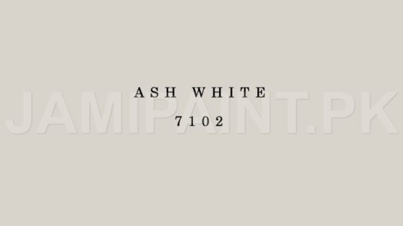 Kansai Stain Guard ASH WHITE-7102