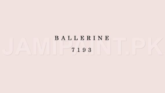 Kansai Stain Guard BALLERINE-7193