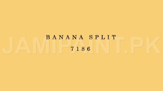 Kansai Stain Guard BANANA SPLIT-7186