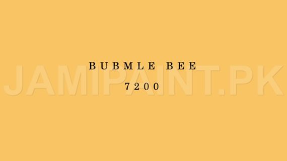 Kansai Stain Guard BUBMLE BEE-7200