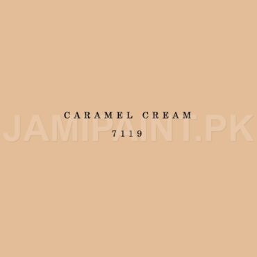 Kansai Stain Guard CARAMEL CREAM-7119