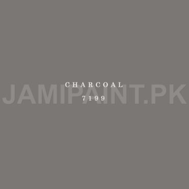 Kansai Stain Guard CHARCOAL-7199