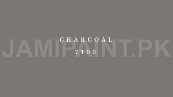 Kansai Stain Guard CHARCOAL-7199