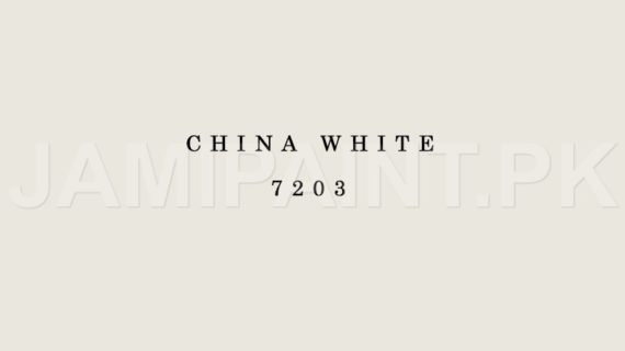 Kansai Stain Guard CHINA WHITE-7203