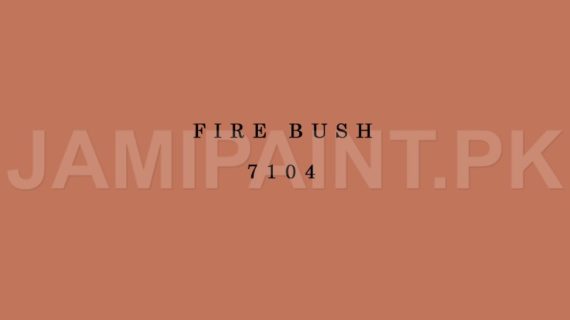 Kansai Stain Guard FIRE BUSH-7104