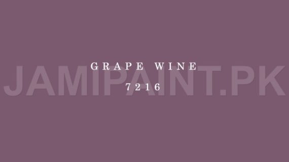 Kansai Stain Guard GRAPE WINE-7216