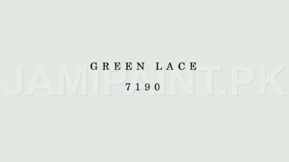 Kansai Stain Guard GREEN LACE-7190