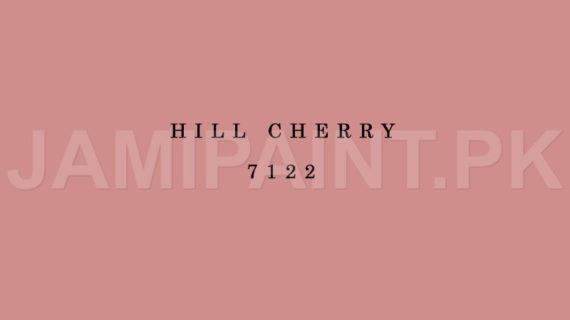 Kansai Stain Guard HILL CHERRY-7122