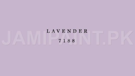 Kansai Stain Guard LAVENDER-7188