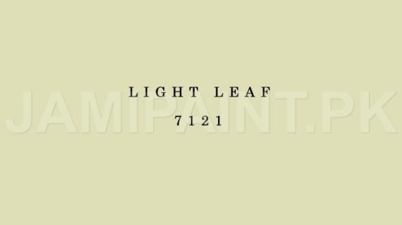 Kansai Stain Guard LIGHT LEAF-7121