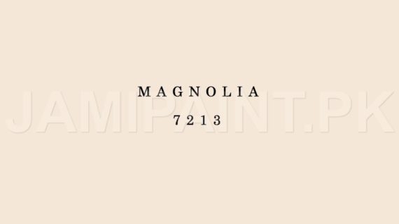 Kansai Stain Guard MAGNOLIA-7213