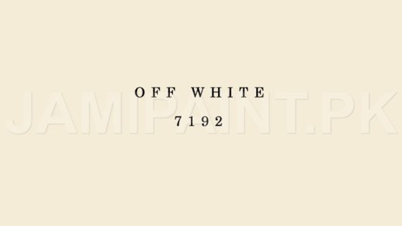 Kansai Stain Guard OFF WHITE-7192