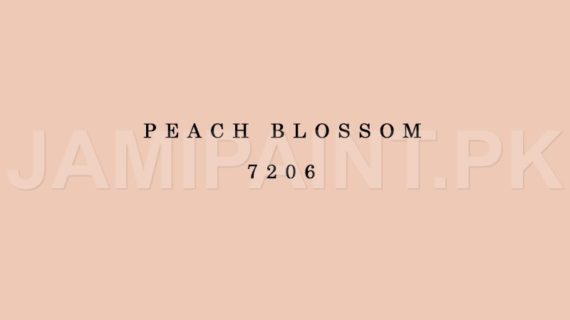 Kansai Stain Guard PEACH BLOSSOM-7206