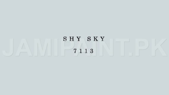 Kansai Stain Guard SHY SKY-7113