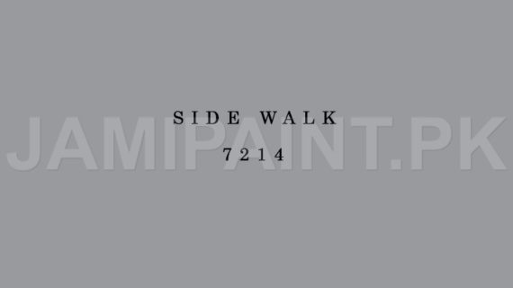 Kansai Stain Guard SIDE WALK-7214