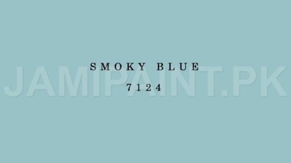 Kansai Stain Guard SMOKY BLUE-7124