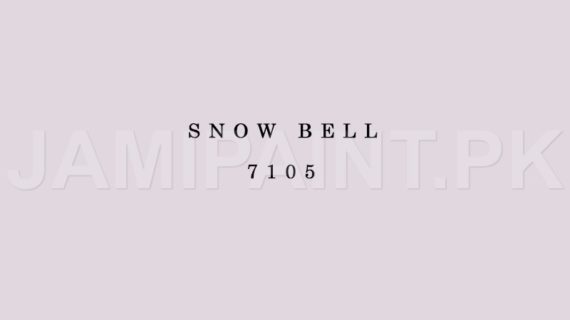Kansai Stain Guard SNOW BELL-7105