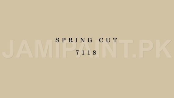 Kansai Stain Guard SPRING CUT-7118
