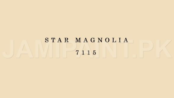 Kansai Stain Guard STAR MAGNOLIA-7115