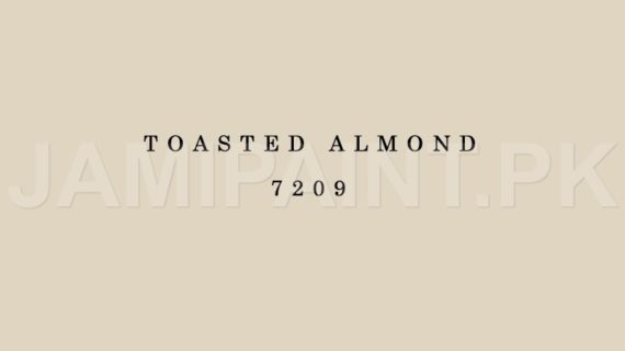 Kansai Stain Guard TOASTED ALMOND-7209