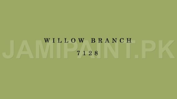 Kansai Stain Guard WILLOW BRANCH-7128