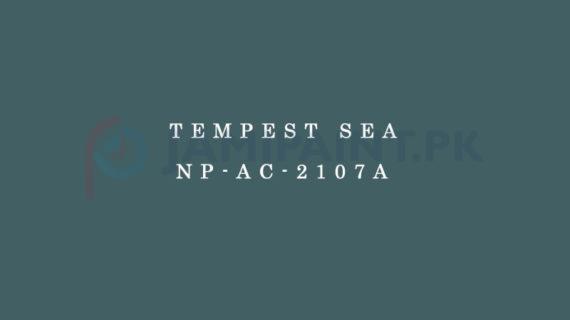 Nippon Colours of Life - Tempest Sea - NP-AC-2107A