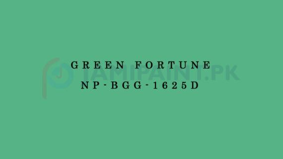 Nippon Colours of Life - Green Fortune - NP-BGG-1625D