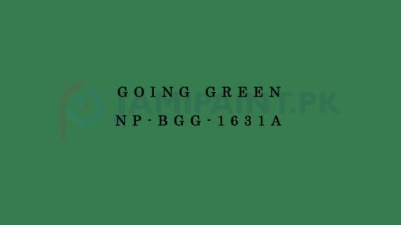 Nippon Colours of Life - Going Green - NP-BGG-1631A