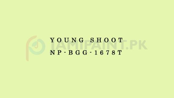 Nippon Colours of Life - Young Shoot - NP-BGG-1678T