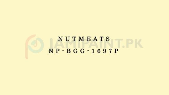 Nippon Colours of Life - Nutmeats - NP-BGG-1697P
