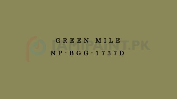 Nippon Colours of Life - Green Mile - NP-BGG-1737D