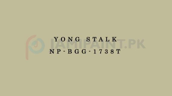 Nippon Colours of Life - Yong Stalk - NP-BGG-1738T