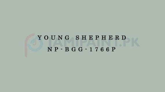 Nippon Colours of Life - Young Shepherd - NP-BGG-1766P