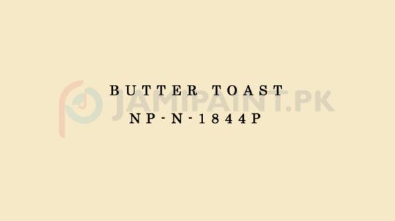 Nippon Colours of Life - Butter Toast - NP-N-1844P