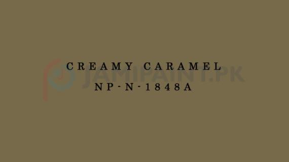 Nippon Colours of Life - Creamy Caramel - NP-N-1848A