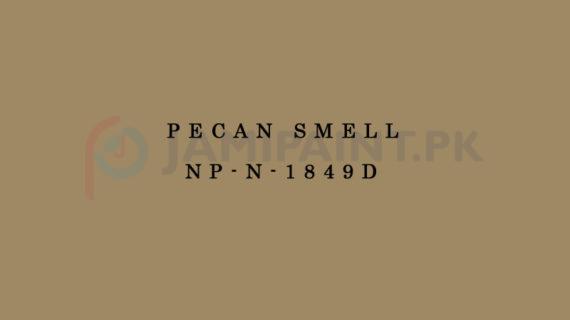 Nippon Colours of Life - Pecan Smell - NP-N-1849D