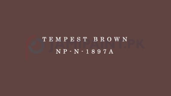 Nippon Colours of Life - Tempest Brown - NP-N-1897A