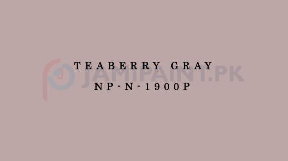 Nippon Colours of Life - Teaberry Gray - NP-N-1900P