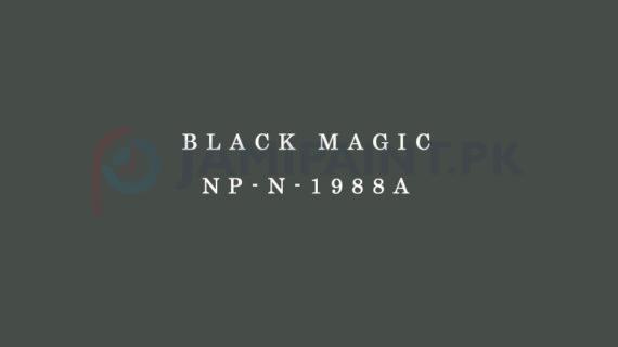 Nippon Colours of Life - Black Magic - NP-N-1988A