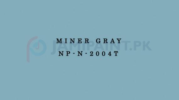 Nippon Colours of Life - Miner Gray - NP-N-2004T